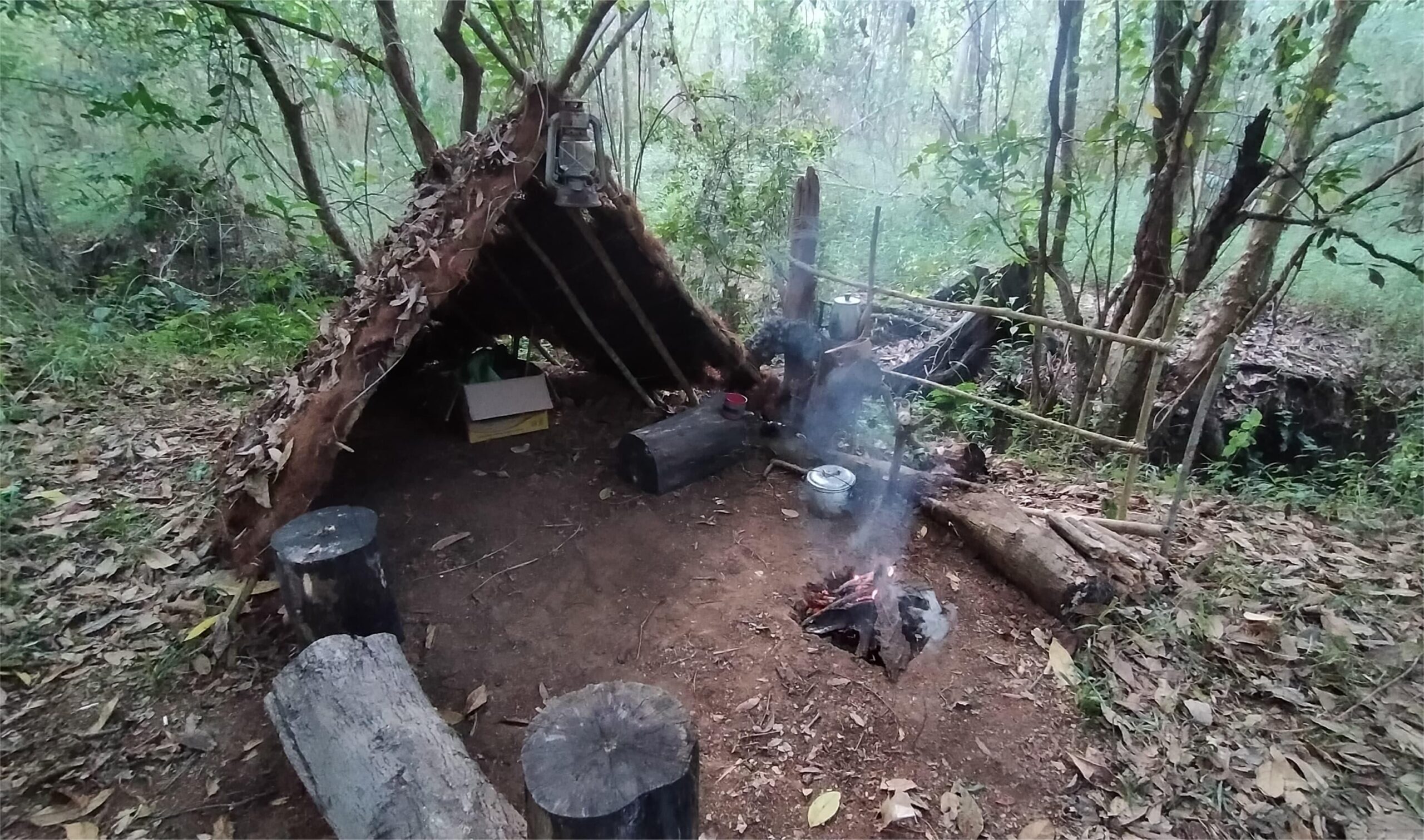 Kemah di dalam hutan